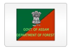 Assam Forest