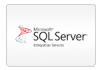 SQL integration services