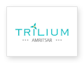 Trilium